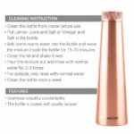 Copper_Delight_1000.jpg
